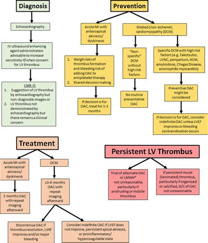 anticoagulation for lv thrombus|lv mural thrombus treatment guidelines.